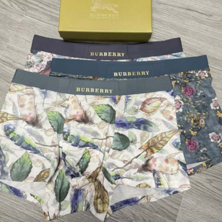 designer,replica,clothing,fake,1:1,lv,luxury,high quality 23/Burberry luxury men’s underwear（Three pcs）