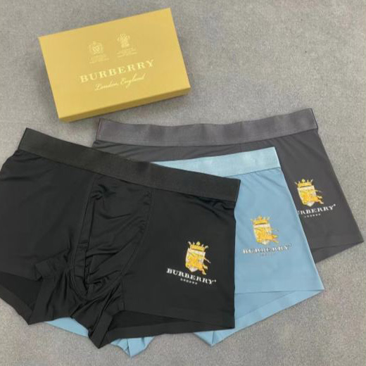 designer,replica,clothing,fake,1:1,lv,luxury,high quality 23/Burberry luxury men’s underwear（Three pcs）