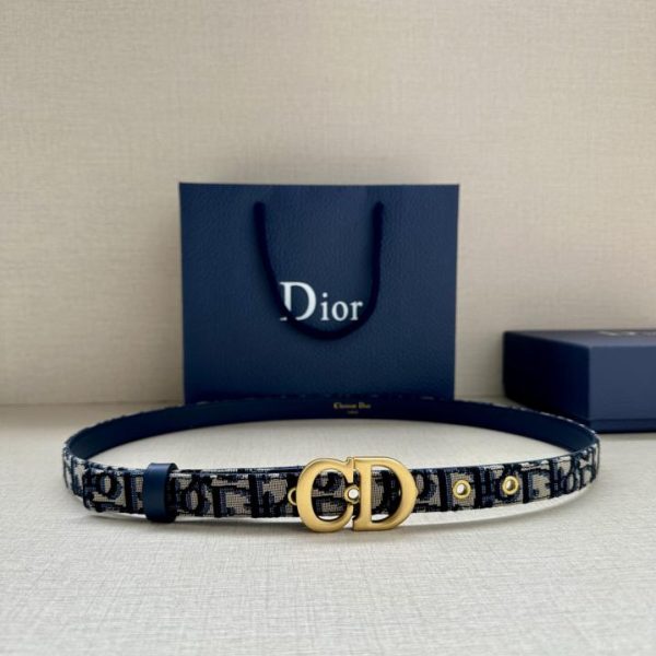 designer,replica,clothing,fake,1:1,lv,luxury,high quality Dior 2.0cm wide saddle strap