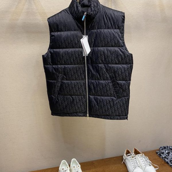 designer,replica,clothing,fake,1:1,lv,luxury,high quality Dior down vest