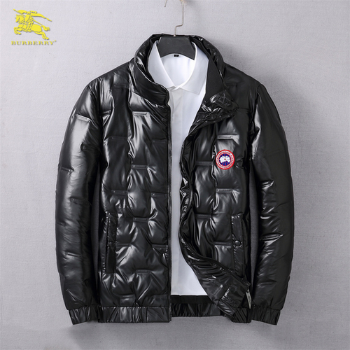 designer,replica,clothing,fake,1:1,lv,luxury,high quality Canada Goose down jacket (B307)