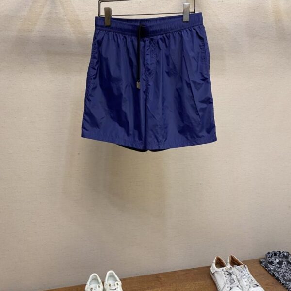 designer,replica,clothing,fake,1:1,lv,luxury,high quality Zzegna Summer Beach Travel Casual Shorts Beach Pants (WR9OK)