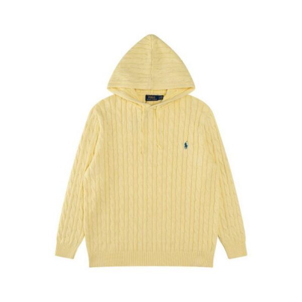 designer,replica,clothing,fake,1:1,lv,luxury,high quality Polo sweater (A61F)