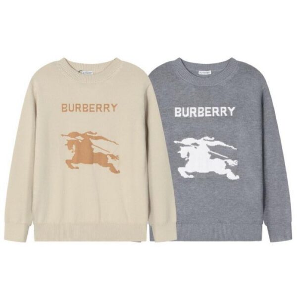 designer,replica,clothing,fake,1:1,lv,luxury,high quality Burberry Sizes S-XL (5B2D)