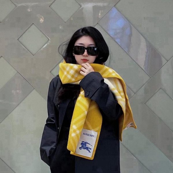 designer,replica,clothing,fake,1:1,lv,luxury,high quality Burberry scarf, unisex (CHBV6)