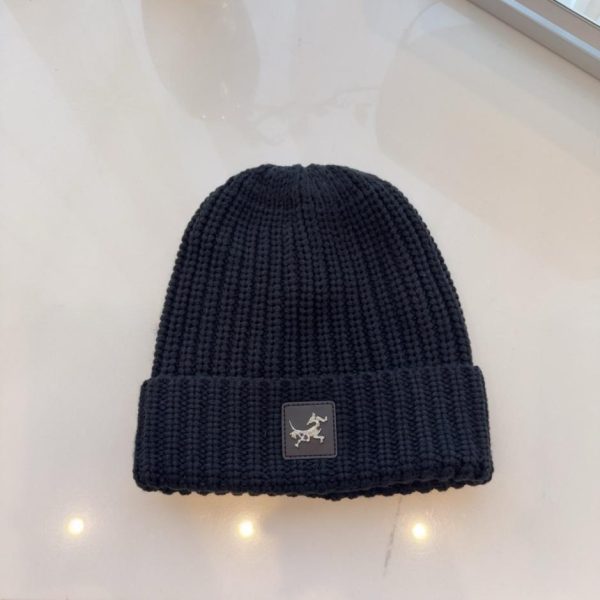 designer,replica,clothing,fake,1:1,lv,luxury,high quality New Arc’teryx knitted beanie, same style as in official stores, double-layered fleece lining for warmth, unisex (BBNYM)