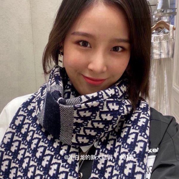designer,replica,clothing,fake,1:1,lv,luxury,high quality Dior’s classic Fall/Winter knit double-sided jacquard (B2CC8)