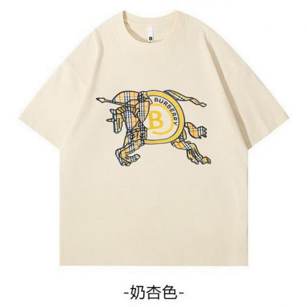 designer,replica,clothing,fake,1:1,lv,luxury,high quality Burberry T-shirt (6C04)
