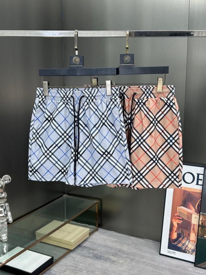 designer,replica,clothing,fake,1:1,lv,luxury,high quality Burberry Shorts (45F0)