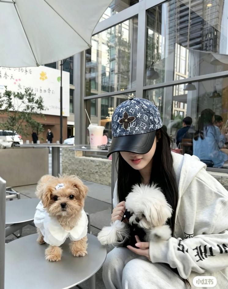 designer,replica,clothing,fake,1:1,lv,luxury,high quality Louis Vuitton baseball cap (DZ6GGE) designer,replica,clothing,fake,1:1,lv,luxury,high quality Louis Vuitton baseball cap (DZ6GGE)