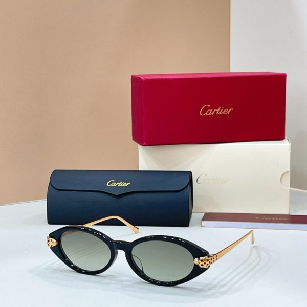 designer,replica,clothing,fake,1:1,lv,luxury,high quality Cartier sunglasses, model CT0634S(89I79H)