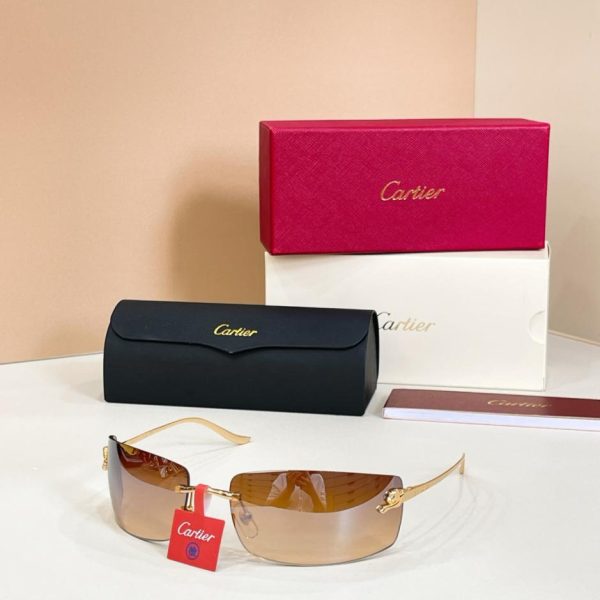 designer,replica,clothing,fake,1:1,lv,luxury,high quality Cartier sunglasses, model CT0503S (JHI0KS)
