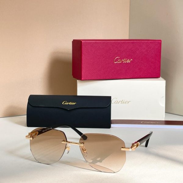 designer,replica,clothing,fake,1:1,lv,luxury,high quality Cartier sunglasses, model CT0583S (NHSGFD)